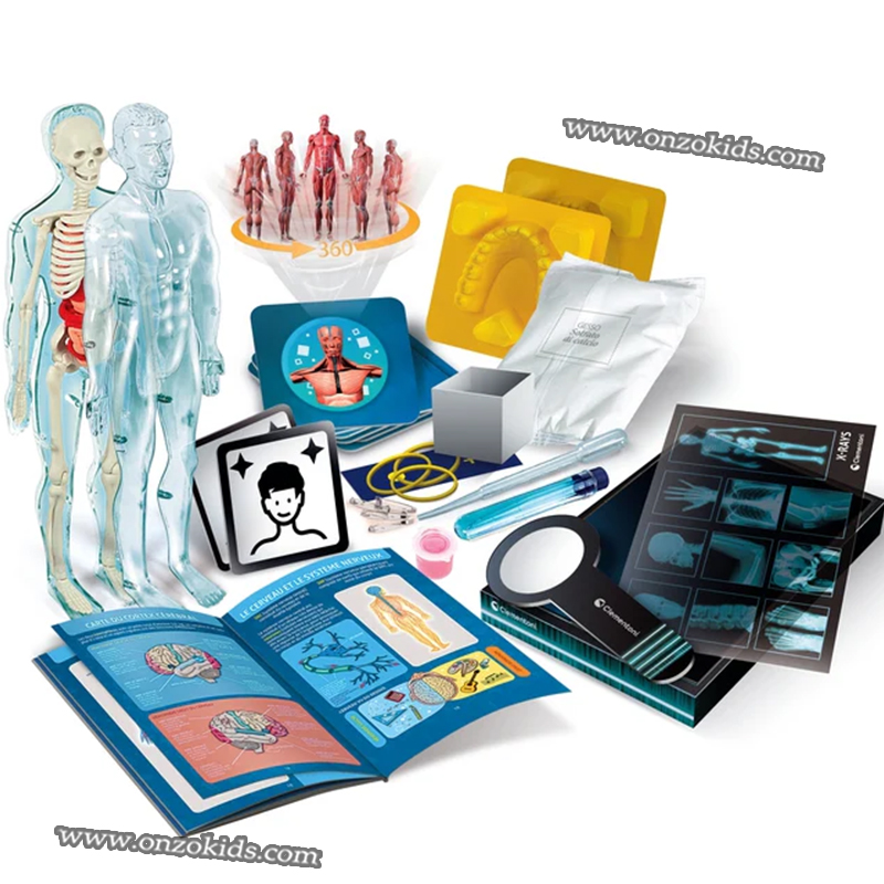 Jeu Scientifique laboratoire d’anatomie – Clementoni – Image 3