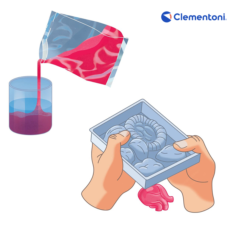 Mini Labo D’anatomie – Image 4